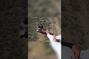 The Art of French Cuisine Unveiling Classic Recipes and Techniques