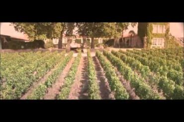 Fine French Wine - March 2015