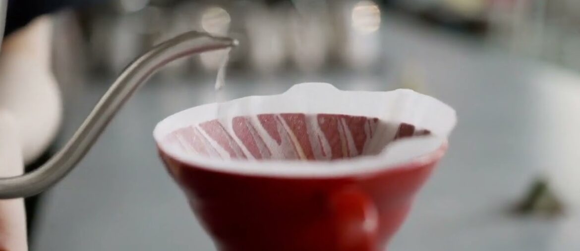 Exploring the World of Coffee