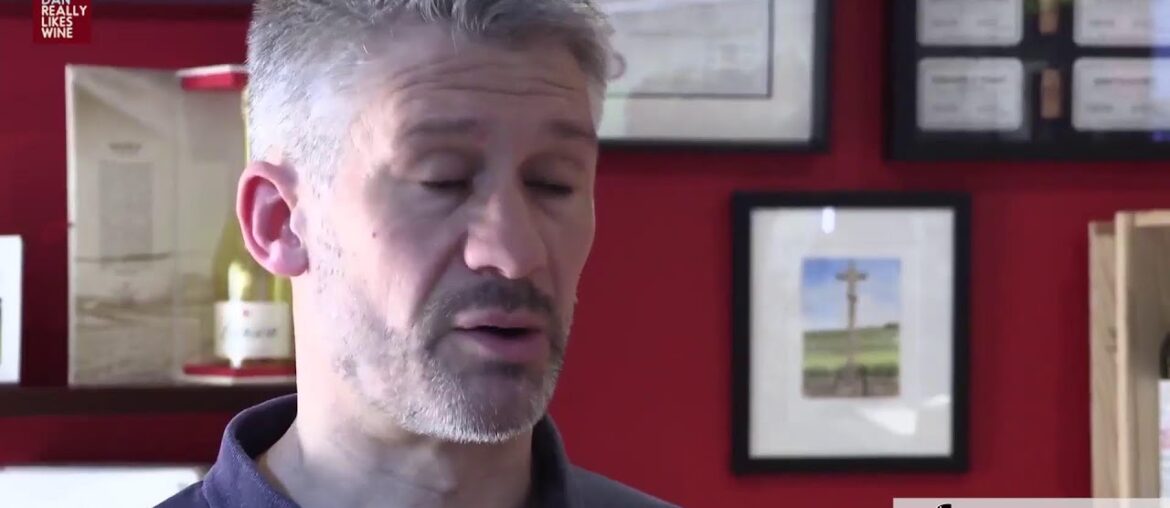 Old Wines And French Dreams Old Wines And French Dreams