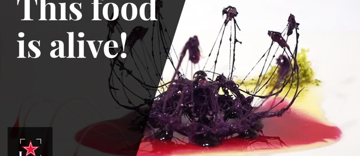 This food is alive! | Fine Dining Lovers This food is alive! | Fine Dining Lovers