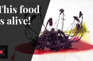 This food is alive! | Fine Dining Lovers