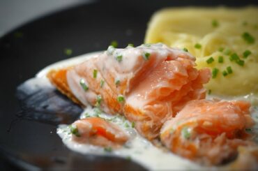 Mastering the Art of Salmon: 5 Mouthwatering Recipes from Just One Fish!