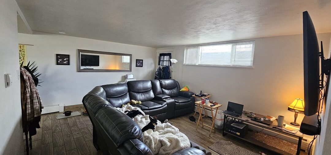 I need all the advice I can get with my garden level living room!