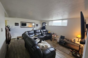 I need all the advice I can get with my garden level living room!