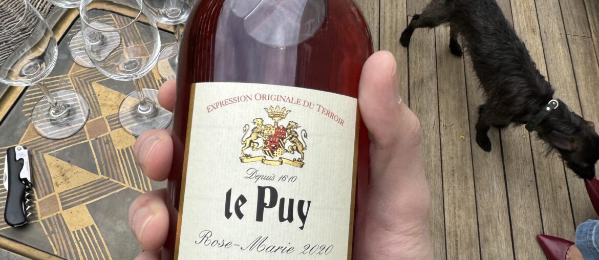 Best rose I’ve had in ages