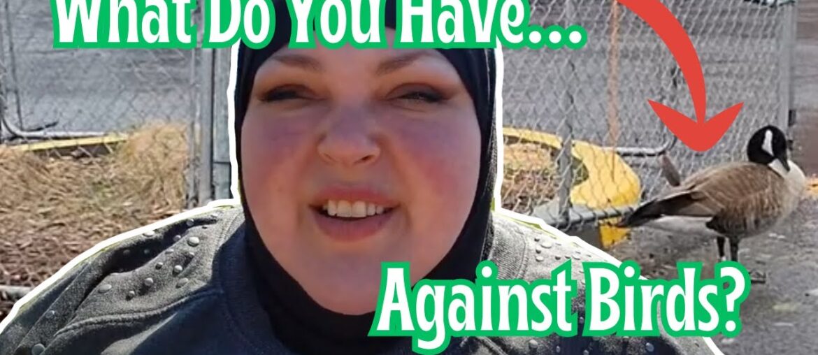 What A Thing To Lie About, Foodie Beauty?! French-Fry Choked Canada Goose!