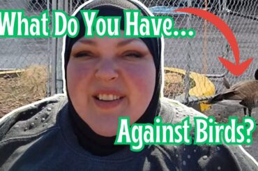 What A Thing To Lie About, Foodie Beauty?! French-Fry Choked Canada Goose!