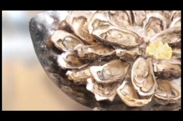 Stone French Dining SeaFood Promotion