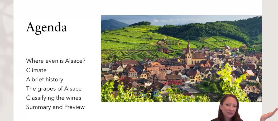 NerdVine Alsatian Edelzwicker NerdVine Alsatian Edelzwicker