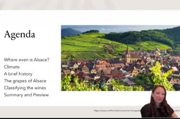 NerdVine Alsatian Edelzwicker