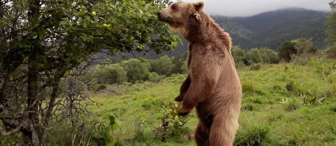 Le plus beau pays du monde Opus 1 : La France comme vous ne l'avez jamais vue