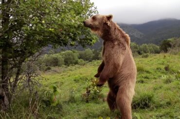 Le plus beau pays du monde Opus 1 : La France comme vous ne l'avez jamais vue