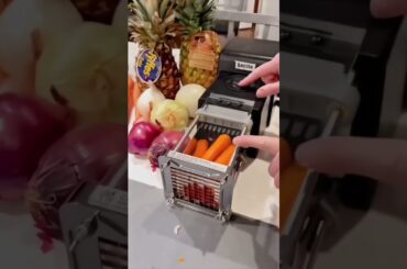 Electric French Fry Cutter