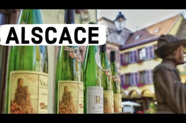 ALSACE FRANCE FOOD TOUR (Mulhouse | Riquewihr | Ribeauville | Route de Vins)