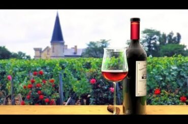 Bordeaux wine tour: a journey from grape to glass (2024)