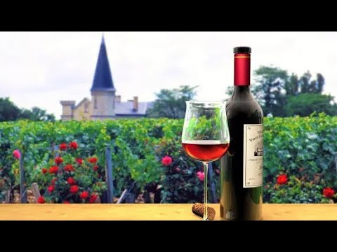 Bordeaux wine tour: a journey from grape to glass (2024) Bordeaux wine tour: a journey from grape to glass (2024)