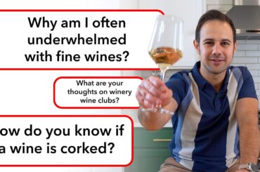 Sommelier & TV Host Vince Answers Wine Questions! (Part I)