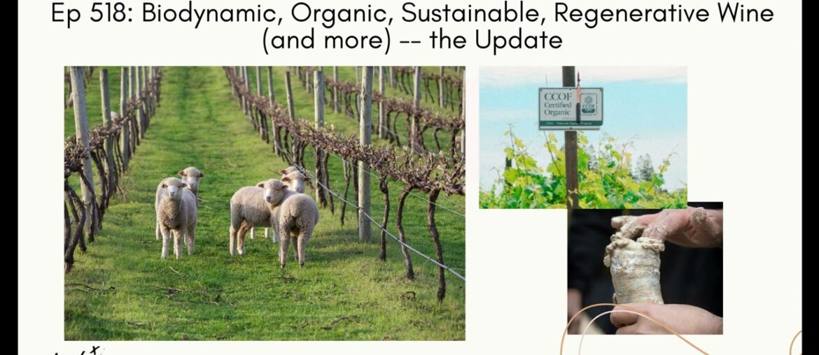 Ep 518: Biodynamic, Organic, Sustainable, Regenerative Wine (and more) — the Update Ep 518: Biodynamic, Organic, Sustainable, Regenerative Wine (and more) -- the Update