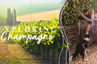 We Made It To France! First Stop CHAMPAGNE | Winery Stays