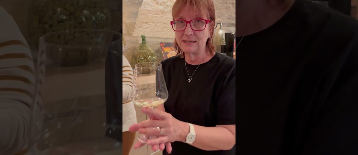 Wine Cellar in Tournus #shortsvideo #shorts Wine Cellar in Tournus #shortsvideo #shorts