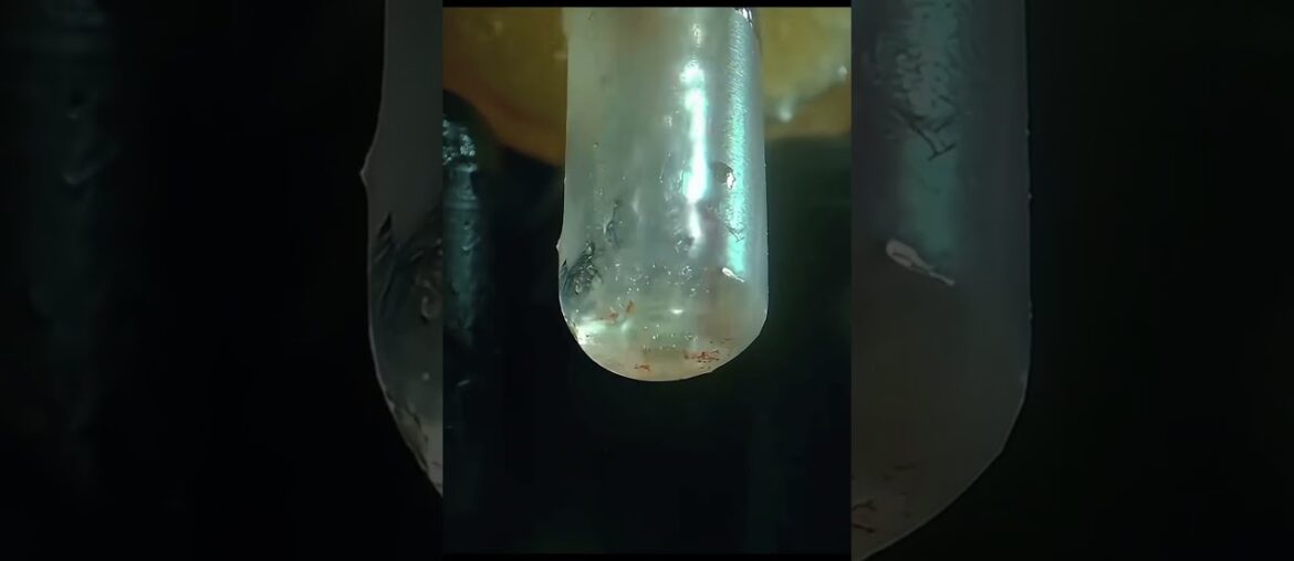 The Astonishing Oil Content of French Fries #shorts #frenchfries #health #junkfood #unknownfacts