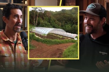 Classic French Market Gardening On A Tropical Island?!