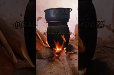 Delicious Snail Dishes from Around the World Recipes