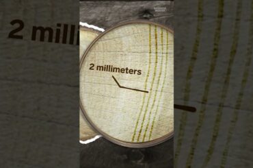 Why #luxury #winemakers are willing to pay up to $50,000 for these oak barrels. #Wine