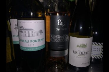 BEST WINE STORE in France ? short visit introduction