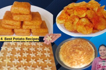 Top 4 Best Potato Recipes | McDonald's French Fries | Crispy Potato Snacks Recipe | French Fries