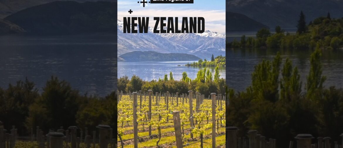 Wine Regions in Newzealand #waiter #shorts #short #yt #wine #trending #newzealand #winery #viral Wine Regions in Newzealand #waiter #shorts #short #yt #wine #trending #newzealand #winery #viral