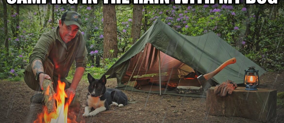 Heavy Rain all night - Woodland Adventure With My Dog in The F1 French Military Tent