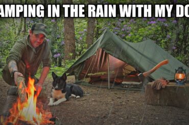 Heavy Rain all night - Woodland Adventure With My Dog in The F1 French Military Tent