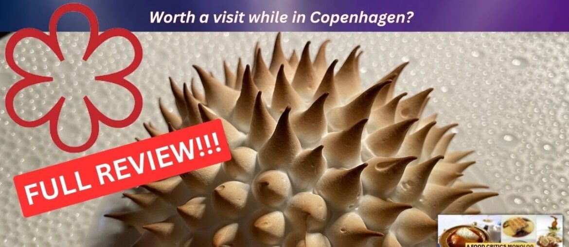 1 Michelin Star Formel B Restaurant, Copenhagen - FULL REVIEW