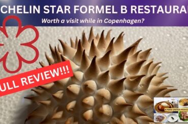 1 Michelin Star Formel B Restaurant, Copenhagen - FULL REVIEW