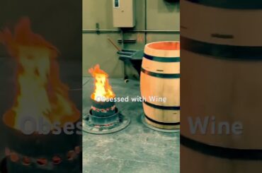 The Art of Making Wine Barrels #wine #urbanwinery #winemaker #winelovers #podcast #sustainablewine