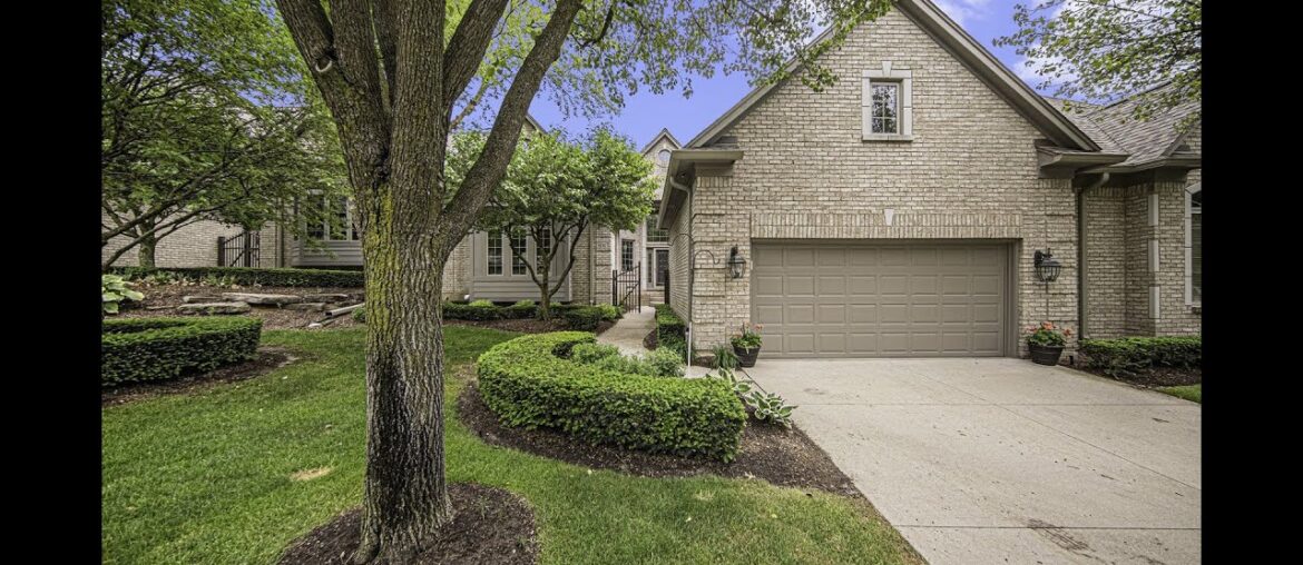 Jay Gingell|6530 Enclave Drive|Clarkston, MI Jay Gingell|6530 Enclave Drive|Clarkston, MI