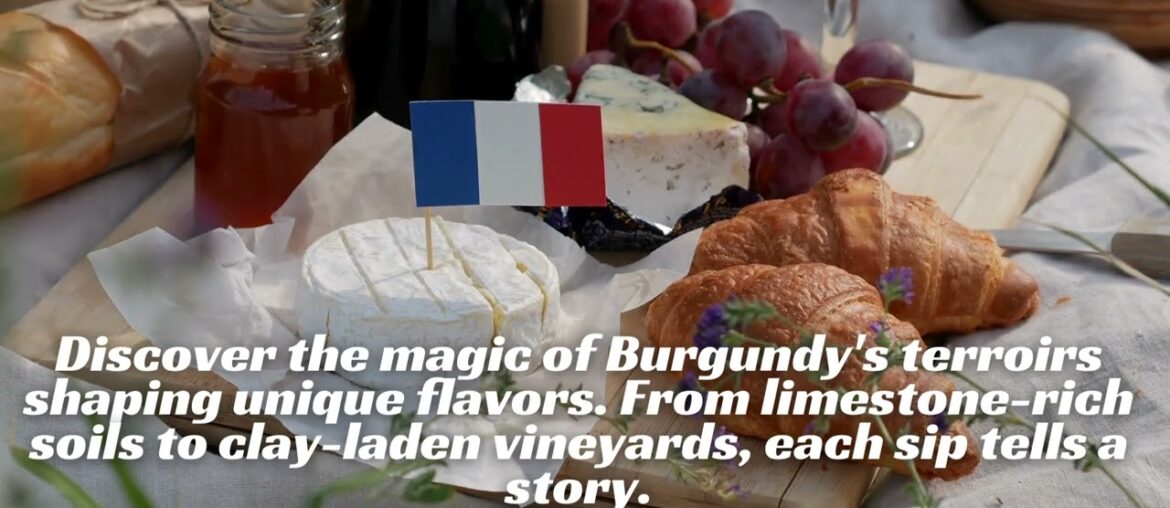 Unveiling the Essence: Exploring the Enchanting World of Burgundy Wines