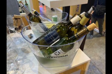 Wine Around - 2024 Vine expo Asia in HK