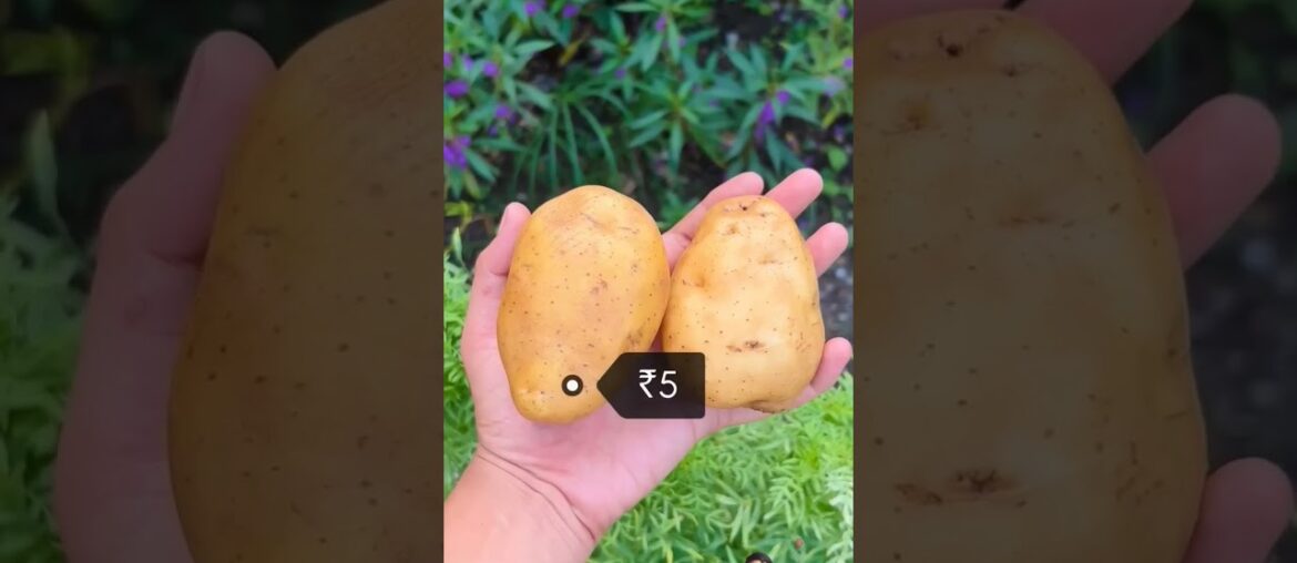 Ham 100 mein kitne french fries bana sakte he l #shorts #viral #food #streetfood