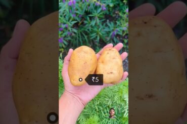 Ham 100 mein kitne french fries bana sakte he l #shorts #viral #food #streetfood