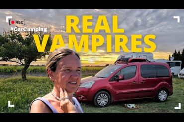 We SHOULD NOT Have Wild Camped Here! (South of France)