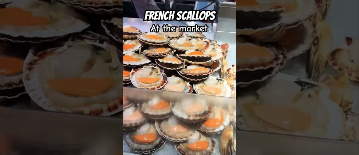 French Scallops at the French Market #france  #frenchcuisine