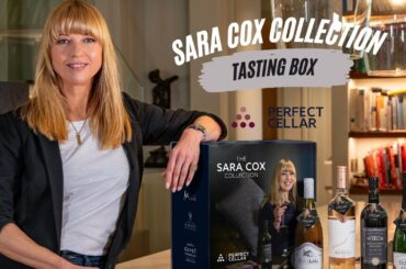 Perfect Cellar - Sara Cox French Wine Collection - Perfect TastingBOX with Christopher Delalonde MS