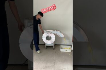 French fries #cornsnakes #food#manufacturing #potato