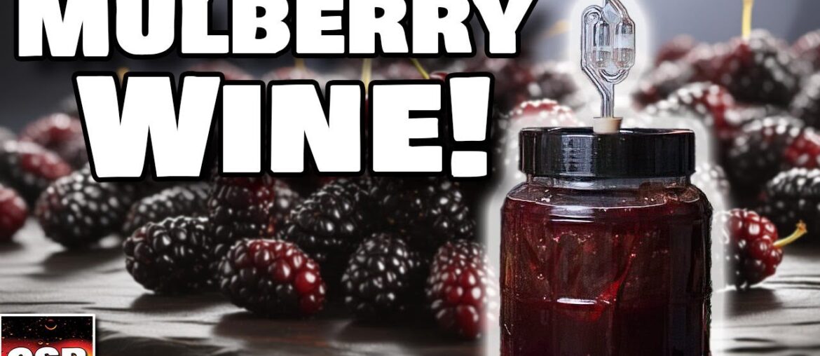 Mulberry Wine from Whole Fruit - One Gallon Recipe - TLDR Cut