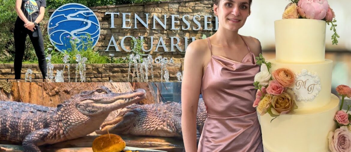 Tennessee Aquarium, Wedding Day, Smoky Mountains, Burger Republic | A French Gal in Nashville Tennessee Aquarium, Wedding Day, Smoky Mountains, Burger Republic | A French Gal in Nashville