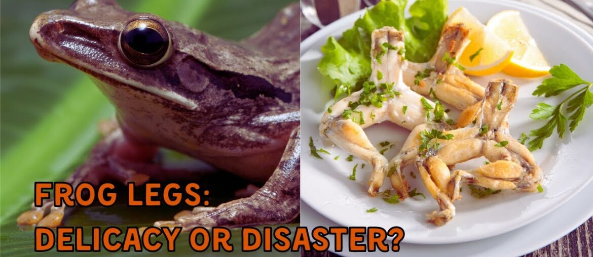 Frog Legs in France: Gourmet Delight or Ecological Nightmare? Frog Legs in France: Gourmet Delight or Ecological Nightmare?
