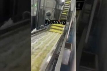 french fries machine#frenchfries #french #frying #potato